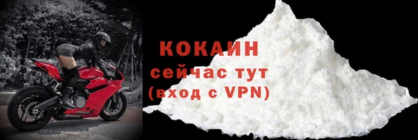 молекула духа Видное