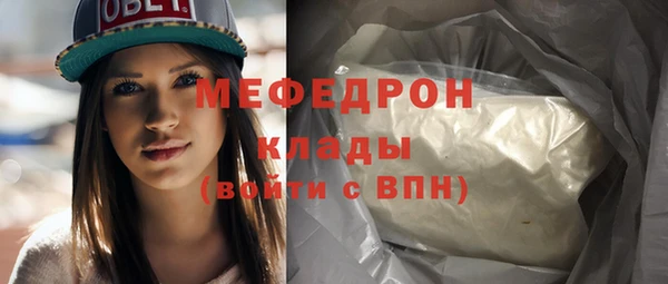 сатива Новозыбков