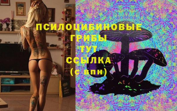 mix Новокубанск