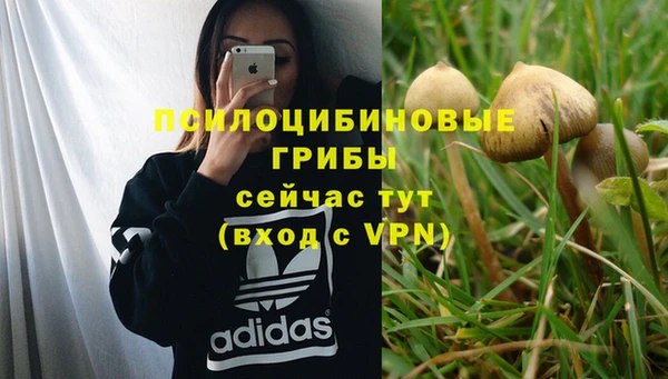 синтетический гашиш Новодвинск