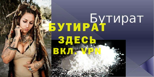 сатива Новозыбков