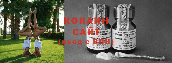 сатива Новозыбков