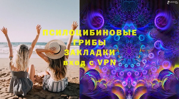 сатива Новозыбков