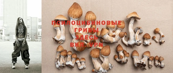 соль курить ск Няндома