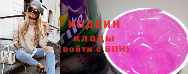 сатива Новозыбков