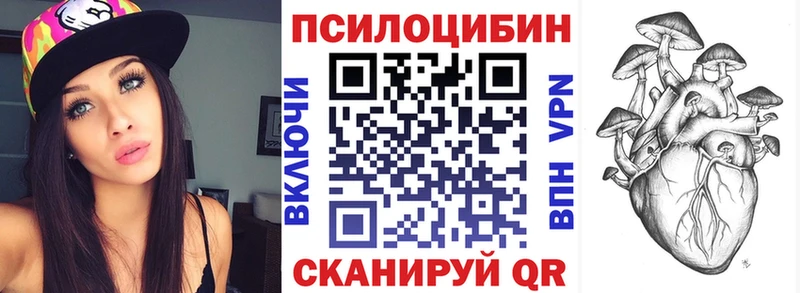 купить   Новокубанск  кракен вход  Галлюциногенные грибы прущие грибы 