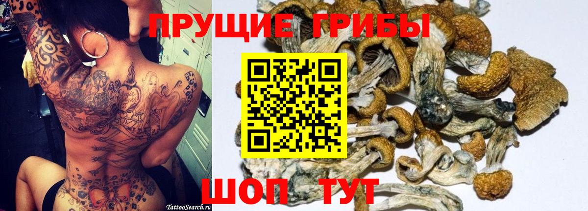 Галлюциногенные грибы Psilocybe  Вход с VPN  Новокубанск 