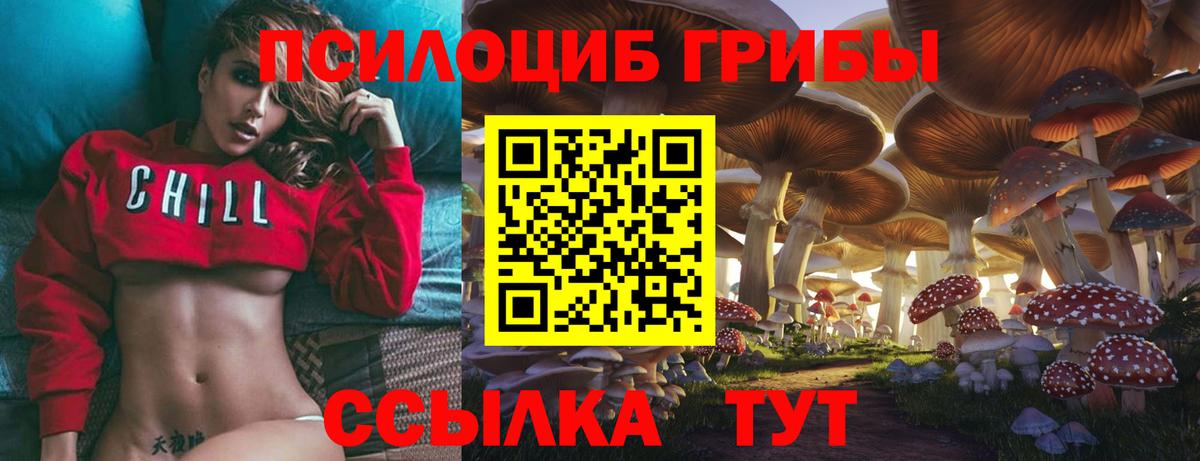 LSD-25  Где найти наркотики?  Метамфетамин  Новокубанск  Меф МЯУ МЯУ кристаллы  Кокаин  Героин  МАРИХУАНА  МЕФ  