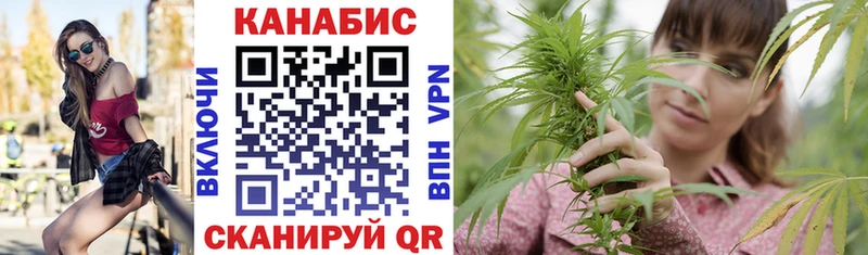 где купить наркоту  Новокубанск  Бошки марихуана план 