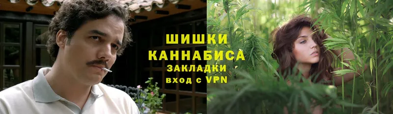 shop Telegram  Новокубанск  Шишки марихуана SATIVA & INDICA 