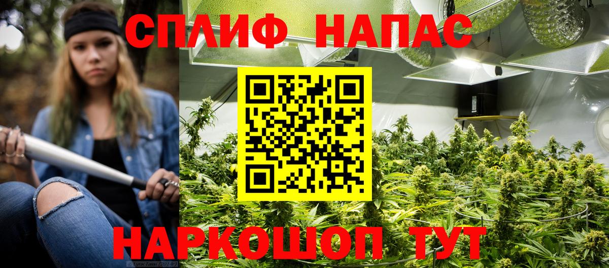 Конопля LSD WEED Новокубанск